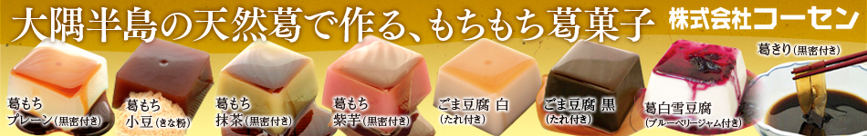 コーセンバナーPC