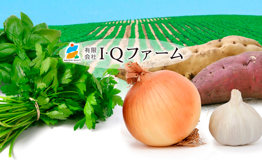 I･Qファームの野菜